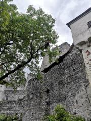 Nega mogočnega oreha